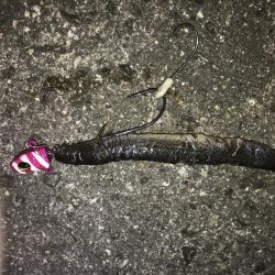 西宮ケーソンにて