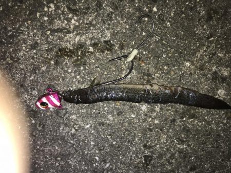 西宮ケーソンにて