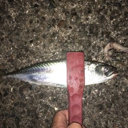 うるとららいとてんやげーむ