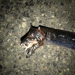 サバをエサにサバ。