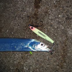 メタルジャッカーのモニターに得ればれて気合いは充分なのですが空回り!