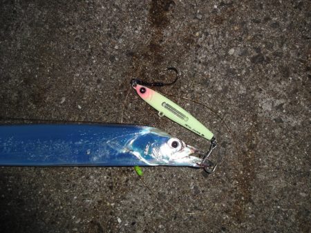 メタルジャッカーのモニターに得ればれて気合…