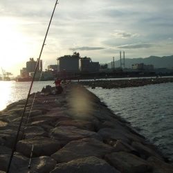 色々掛かって楽しい1日