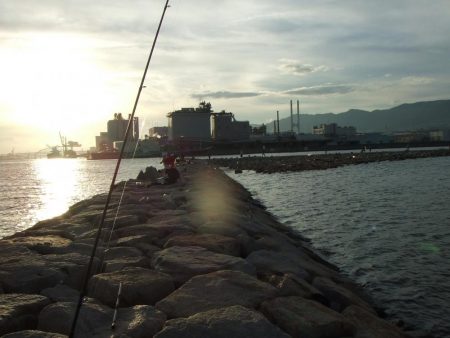 色々掛かって楽しい1日