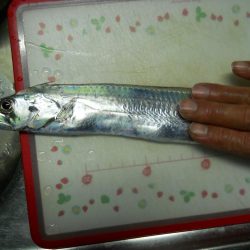 週末になれば台風