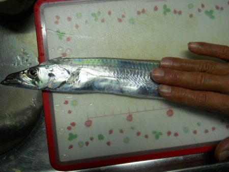 週末になれば台風