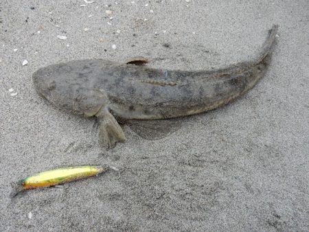 久々のフラット