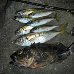 港でグググッと