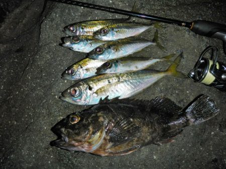 港でグググッと