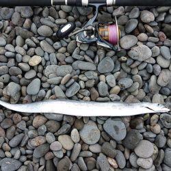 憧れの地煙樹ヶ浜