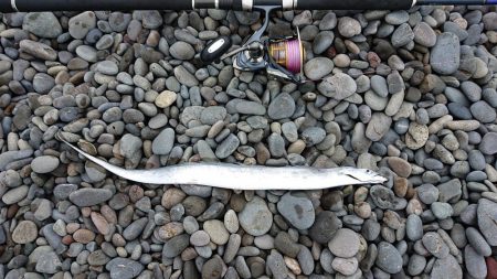 憧れの地煙樹ヶ浜