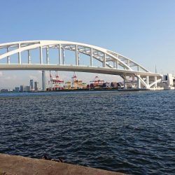 サゴシ祭りじゃ