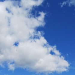 午後からエギング