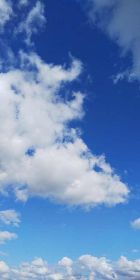 午後からエギング