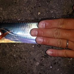 食い込み悪かったです