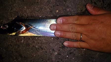 食い込み悪かったです