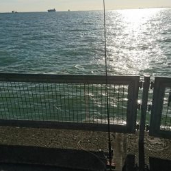 青物狙いつつ、タチウオ釣りたい