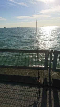 青物狙いつつ、タチウオ釣りたい