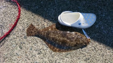 まさかの・・・