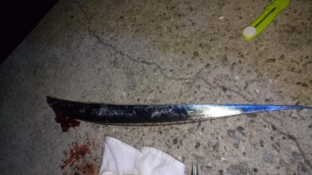 またまた太刀魚行ってきた