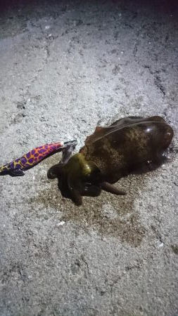 ライトゲームのついでに…