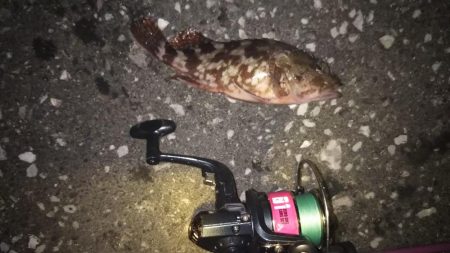 昨日に引き続き……