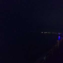 タチウオのちエイ