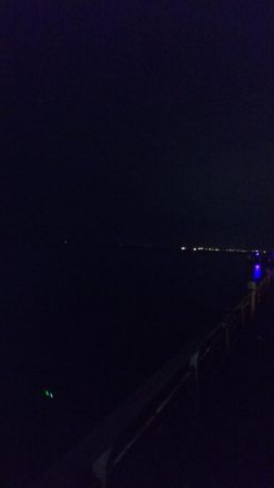 タチウオのちエイ