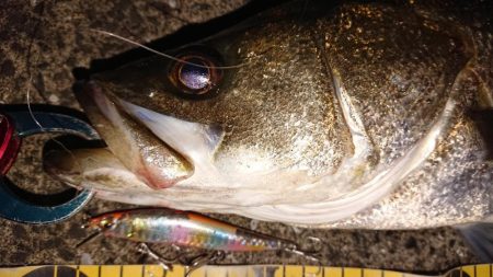 波止際サラシパターン