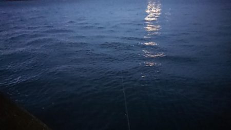 小雨の短時間夕練！