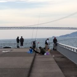 ワインド太刀魚