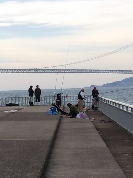 ワインド太刀魚