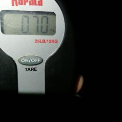 仕事終わりエギング