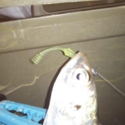 爆風プチワインド