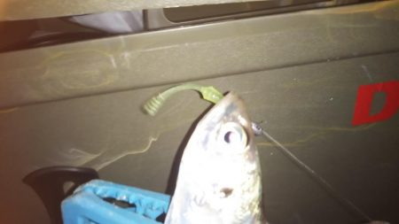 爆風プチワインド