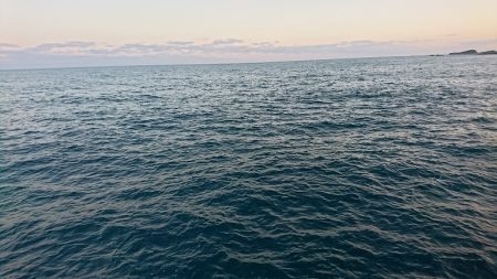 ヒラマサが釣れない。