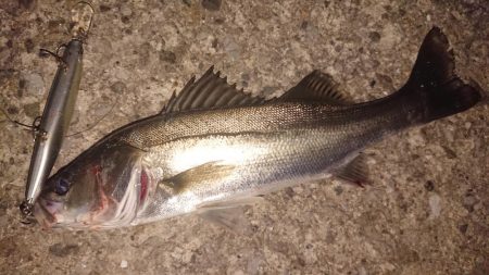 朝練皆が集う激戦区に出撃!