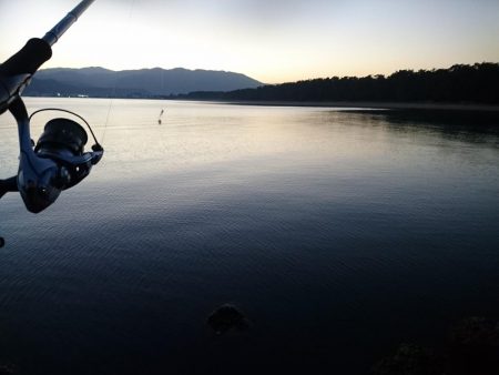 サーフのサゴシ