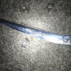 渋かった夕練シーバス