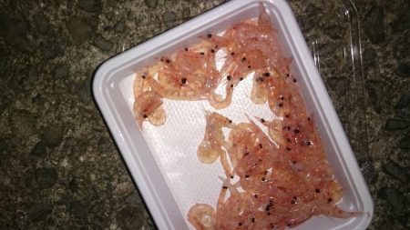 のべ竿いっぽん