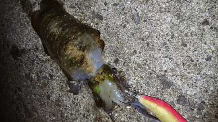 teamゲッソー調査隊