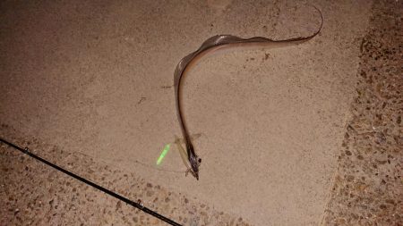 淡路島イイねぇ~