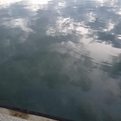 ボートフィッシング