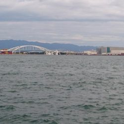 連日のタチウオ釣行