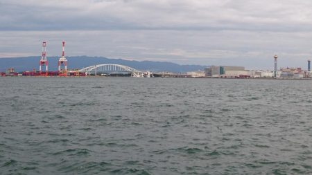 連日のタチウオ釣行