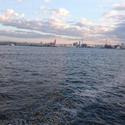 南港タチウオほぼいてない