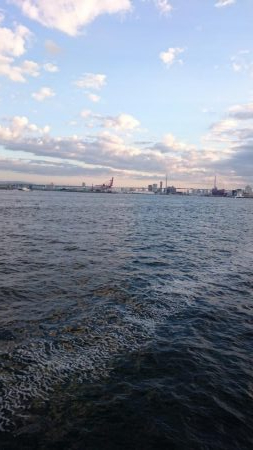 南港タチウオほぼいてない