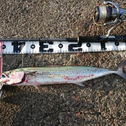 台風最接近の中