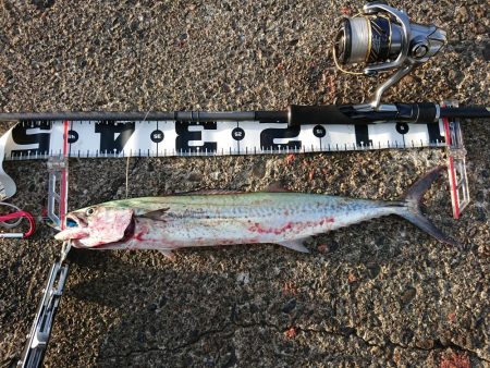 台風最接近の中