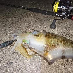 スラックジャーク